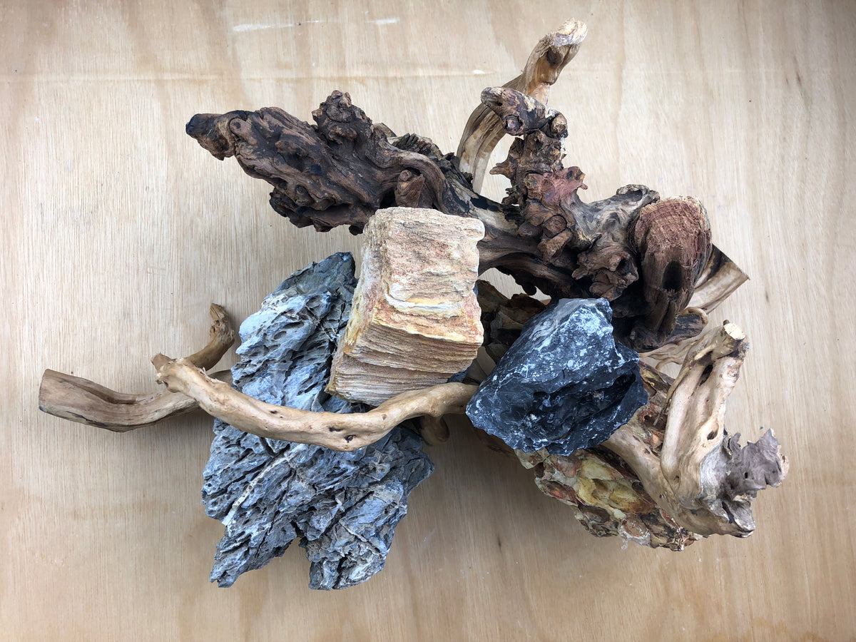 Hardscape – Aquascaping Canvas