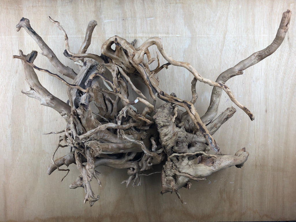Spiderwood Bulk – Aquascaping Canvas